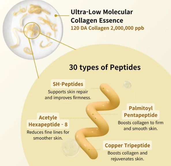 🔥Limited Promotion Only $16.99 ✨Silk Lifting Peptide Ampoule: Korean Anti-Aging Serum for Wrinkle Care & Plumping